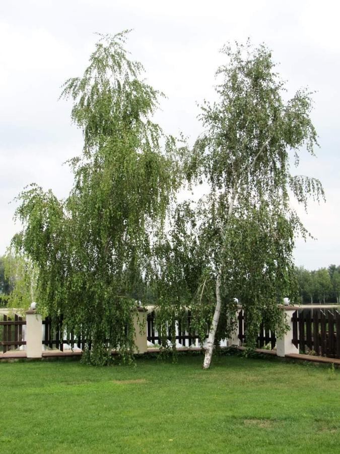 Hotel And Restaurant Complex Lubokray Pereyaslav-Khmelʼnytsʼkyy Esterno foto